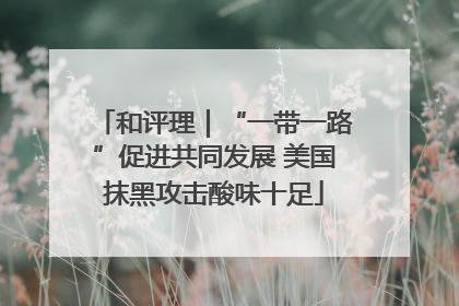 和评理｜“一带一路”促进共同发展 美国抹黑攻击酸味十足