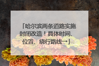 哈尔滨两条道路实施封闭改造！具体时间、位置、绕行路线→