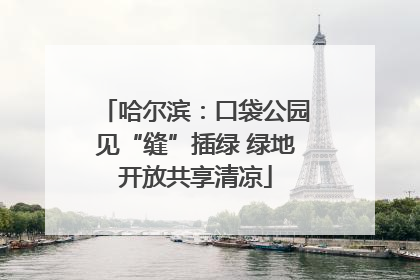 哈尔滨：口袋公园见“缝”插绿 绿地开放共享清凉
