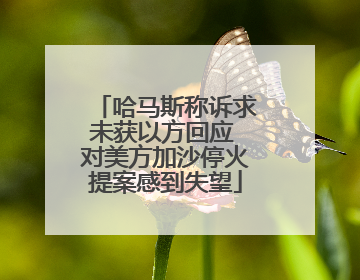 哈马斯称诉求未获以方回应 对美方加沙停火提案感到失望