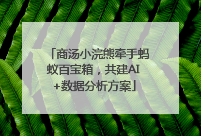 商汤小浣熊牵手蚂蚁百宝箱，共建AI+数据分析方案