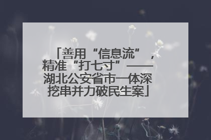 善用“信息流”，精准“打七寸”——湖北公安省市一体深挖串并力破民生案