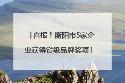 喜报！衡阳市5家企业获得省级品牌奖项