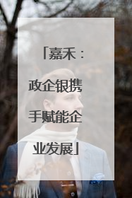嘉禾：政企银携手赋能企业发展
