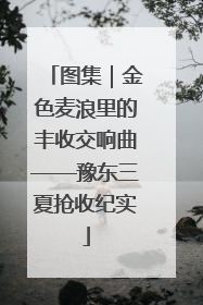 图集｜金色麦浪里的丰收交响曲——豫东三夏抢收纪实