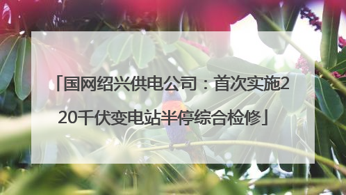 国网绍兴供电公司：首次实施220千伏变电站半停综合检修
