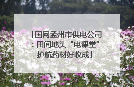 国网孟州市供电公司：田间地头“电课堂”  护航药材好收成