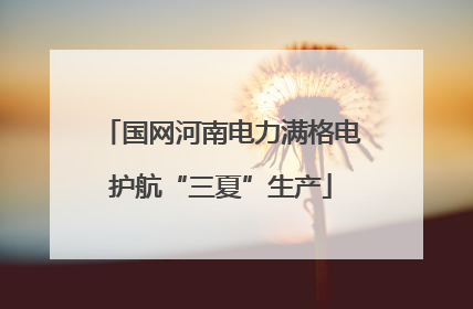 国网河南电力满格电护航“三夏”生产