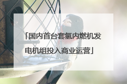 国内首台套氢内燃机发电机组投入商业运营
