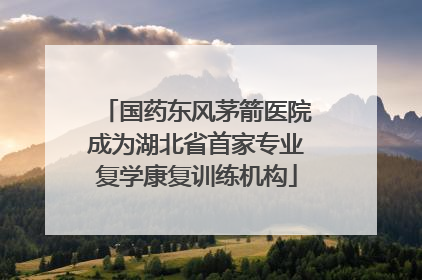 国药东风茅箭医院成为湖北省首家专业复学康复训练机构