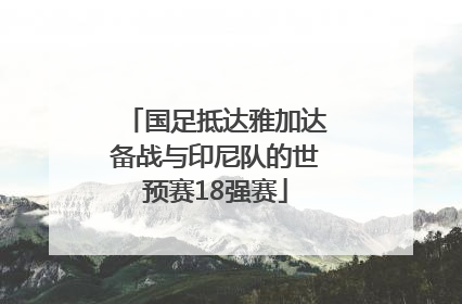 国足抵达雅加达备战与印尼队的世预赛18强赛