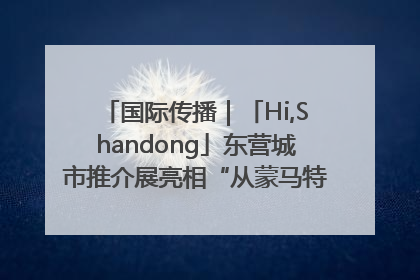 国际传播｜「Hi,Shandong」东营城市推介展亮相“从蒙马特到加里波第”文化节