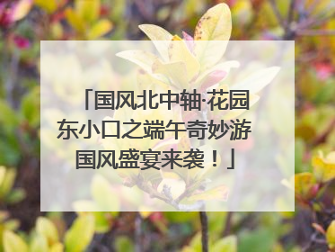 国风北中轴·花园东小口之端午奇妙游国风盛宴来袭！