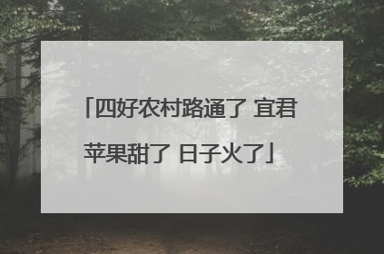 四好农村路通了 宜君苹果甜了 日子火了