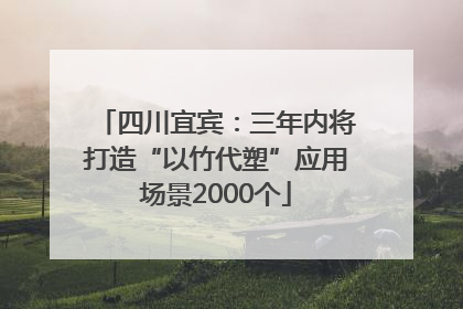 四川宜宾：三年内将打造“以竹代塑”应用场景2000个