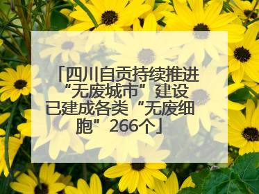 四川自贡持续推进“无废城市”建设 已建成各类“无废细胞”266个