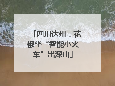 四川达州：花椒坐“智能小火车”出深山