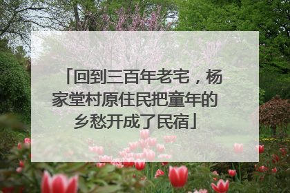 回到三百年老宅，杨家堂村原住民把童年的乡愁开成了民宿