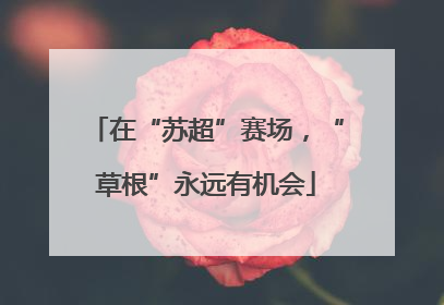 在“苏超”赛场，“草根”永远有机会
