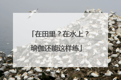 在田里？在水上？瑜伽还能这样练
