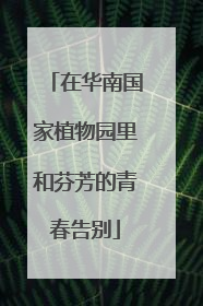 在华南国家植物园里和芬芳的青春告别