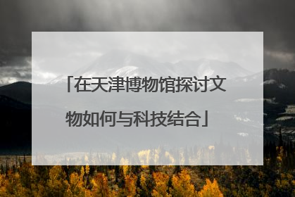 在天津博物馆探讨文物如何与科技结合