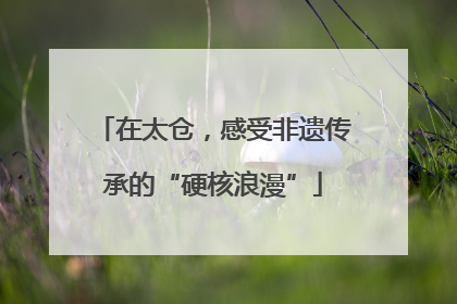 在太仓，感受非遗传承的“硬核浪漫”
