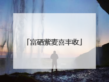 富硒紫麦喜丰收