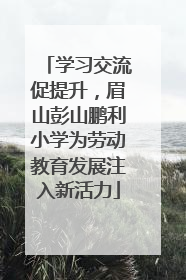 学习交流促提升，眉山彭山鹏利小学为劳动教育发展注入新活力