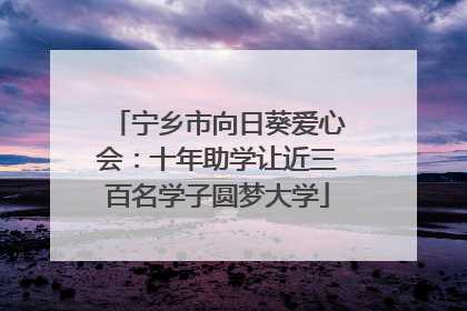 宁乡市向日葵爱心会：十年助学让近三百名学子圆梦大学