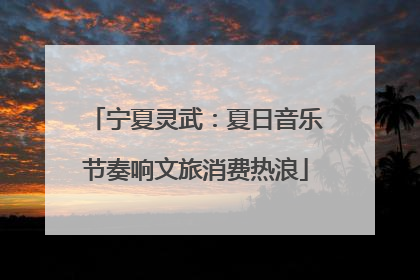 宁夏灵武：夏日音乐节奏响文旅消费热浪