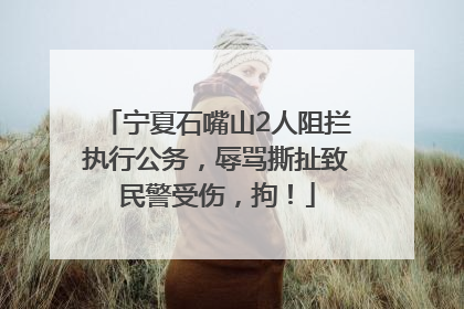 宁夏石嘴山2人阻拦执行公务，辱骂撕扯致民警受伤，拘！