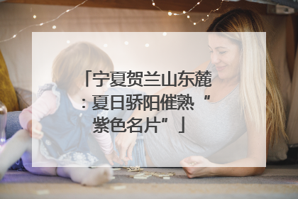 宁夏贺兰山东麓：夏日骄阳催熟“紫色名片”