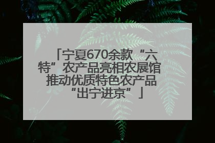 宁夏670余款“六特”农产品亮相农展馆 推动优质特色农产品“出宁进京”