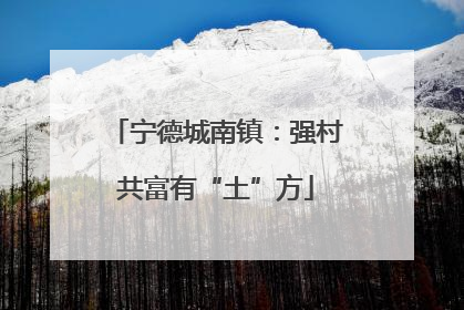 宁德城南镇：强村共富有“土”方
