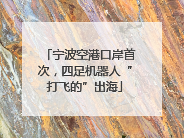 宁波空港口岸首次，四足机器人“打飞的”出海