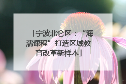 宁波北仑区：“海濡课程”打造区域教育改革新样本