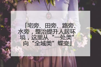 宅旁、田旁、路旁、水旁，整治提升人居环境，这里从“一处美”向“全域美”蝶变