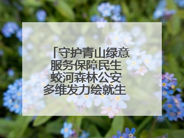 守护青山绿意 服务保障民生 蛟河森林公安多维发力绘就生态惠民新画卷