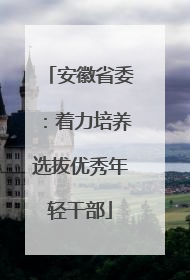 安徽省委：着力培养选拔优秀年轻干部