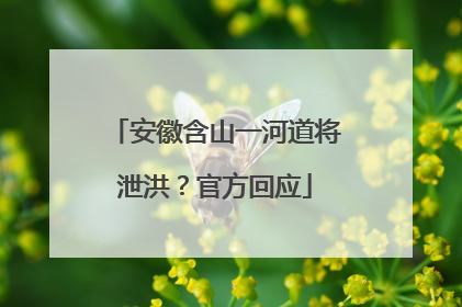 安徽含山一河道将泄洪？官方回应