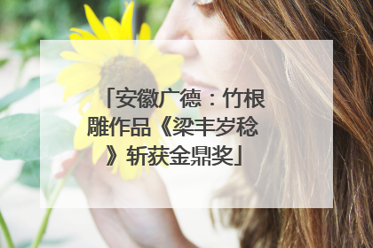 安徽广德：竹根雕作品《梁丰岁稔》斩获金鼎奖