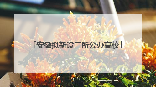 安徽拟新设三所公办高校