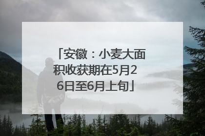 安徽：小麦大面积收获期在5月26日至6月上旬