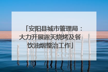 安阳县城市管理局：大力开展露天烧烤及餐饮油烟整治工作