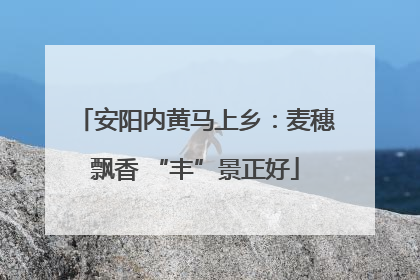 安阳内黄马上乡：麦穗飘香 “丰”景正好