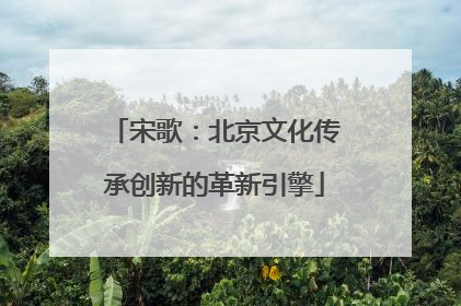 宋歌：北京文化传承创新的革新引擎