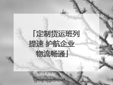 定制货运班列提速 护航企业物流畅通