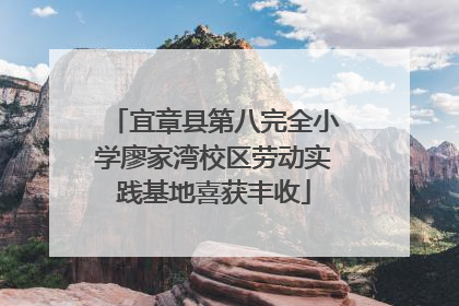 宜章县第八完全小学廖家湾校区劳动实践基地喜获丰收