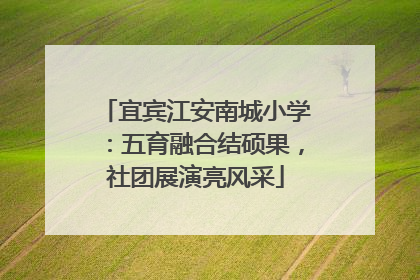 宜宾江安南城小学：五育融合结硕果，社团展演亮风采